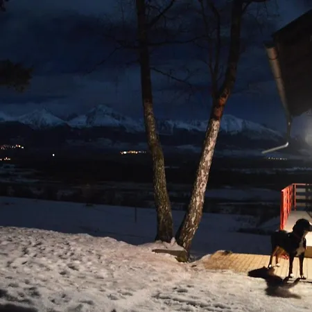 Borik スヴィット