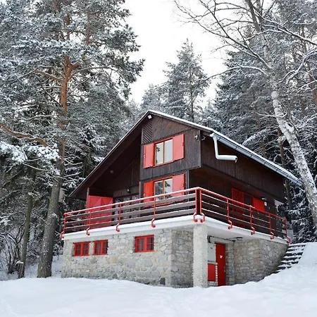 Borik スヴィット