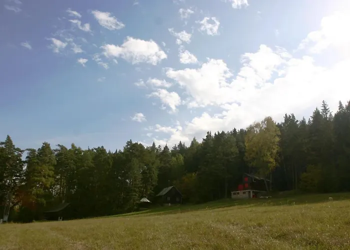 Chalet Borik *
